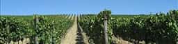 Terre di Talamo Tuscany Wines