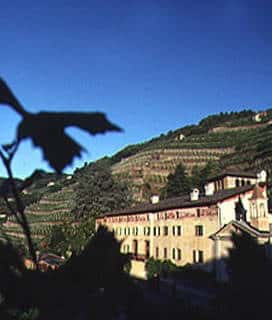lombardy wine