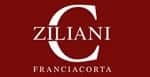 Ziliani Franciacorta Wines rappa Wines and Local Products in - Locali d&#39;Autore