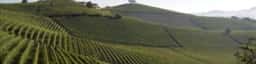 Agriturismo Revello Vini Piemonte