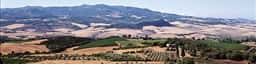 Tenuta di Sesta Tuscany Wines