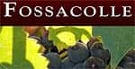 ossacolle Montalcino Wines Wine Companies in Montalcino Siena, Val d&#39;Orcia and Val di Chiana Tuscany - Locali d&#39;Autore