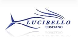 Lucibello Noleggio Barche Positano ervizi Taxi - Transfer e Charter in - Locali d&#39;Autore